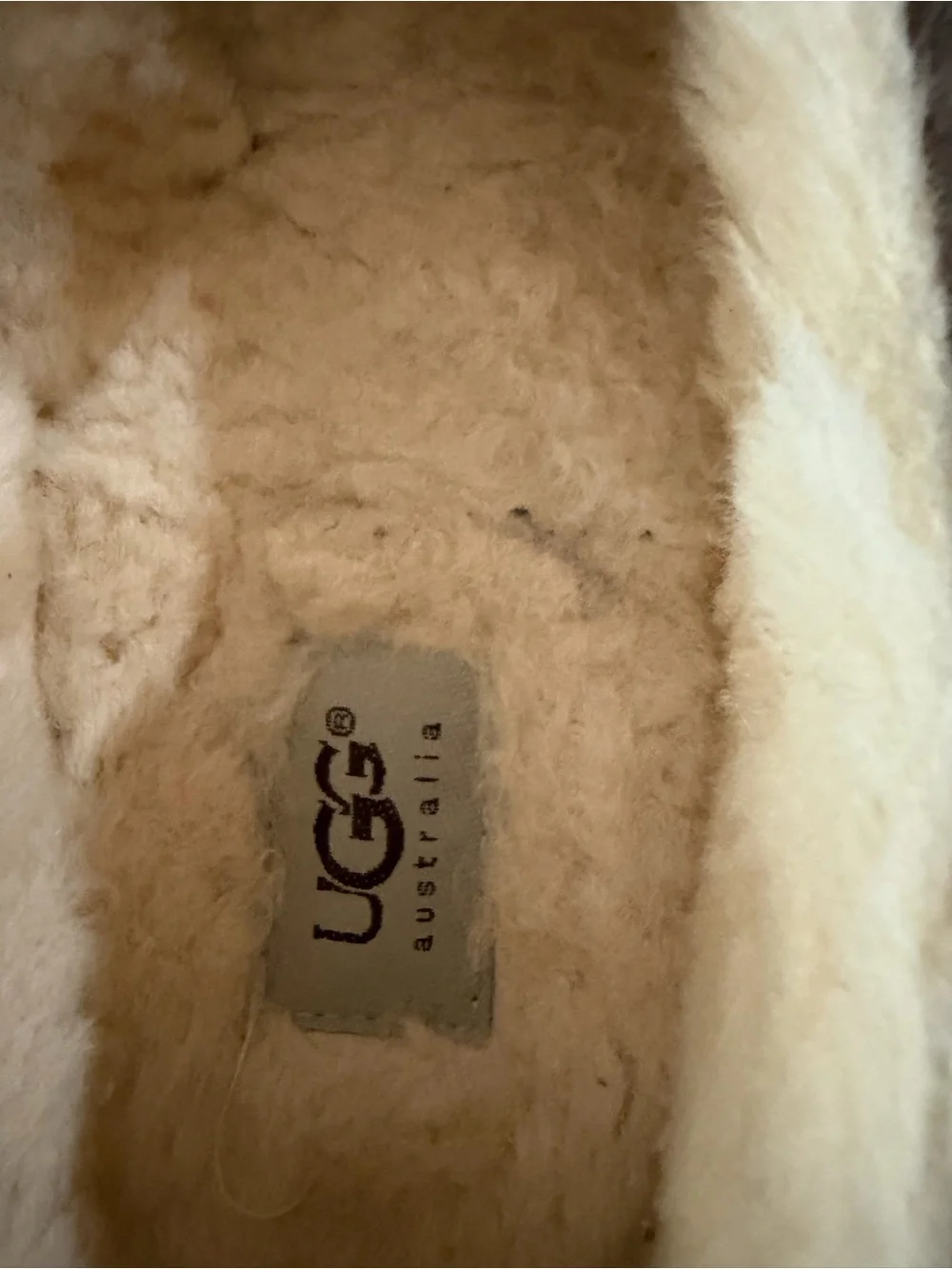 UGG Ascot Slip-On Loafers in Brown Suede